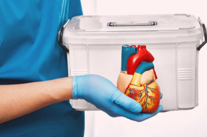 Órgãos infectados com HIV são transplantados no Rio Foto: Bigstock Órgãos infectados com HIV são transplantados no Rio Foto: Bigstock