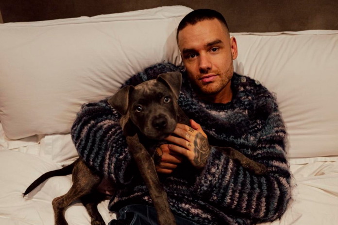 Liam Payne - Foto: Reprodução/ Instagram