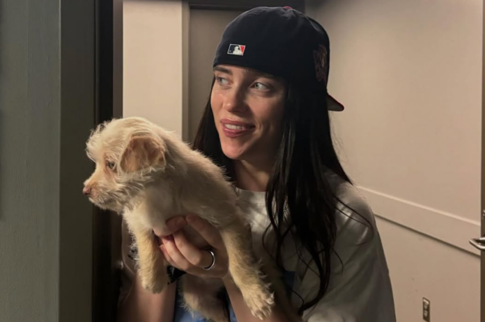 Billie Eilish - Foto: Reprodução/Instagram