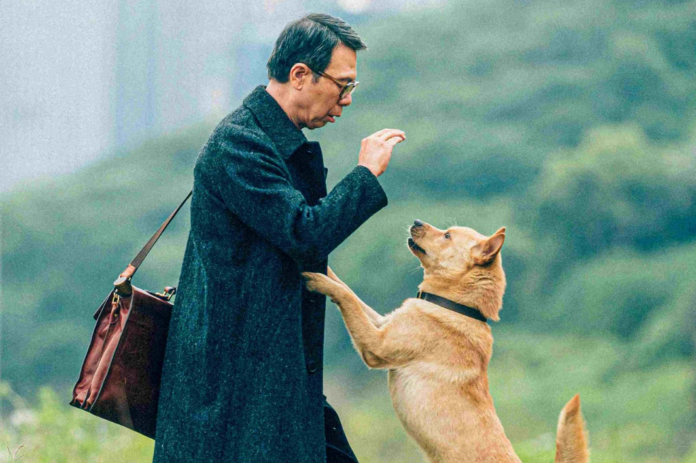 Hachiko: Para Sempre - Foto: Divulgação Hachiko: Para Sempre - Foto: Divulgação