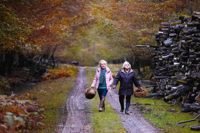 Quando Chega o Outono - Foto: Reprodução