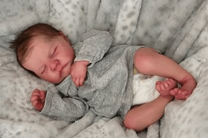 Bebê Reborn - Foto: Reprodução